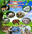 Стенд для детских садов ДОМАШНИЕ ЖИВОТНЫЕ 0,7*0,75м арт. 903