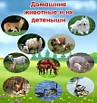 Стенд для детских садов ДОМАШНИЕ ЖИВОТНЫЕ 0,7*0,75м арт. 904