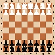 Шахматная демонстрационная доска металлическая 70*70см + шахматные фигуры арт. 2933