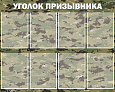 Стенд "Уголок призывника" 1*0,8м арт. УП1855
