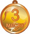 Медаль Спортивная бронза 10*10см арт. 4065